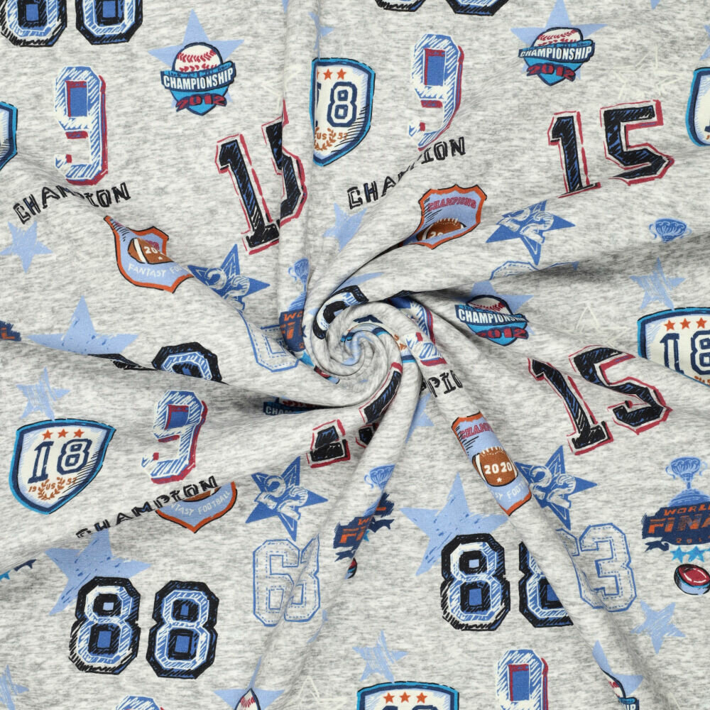Alpenfleece bedruckt champions football grau