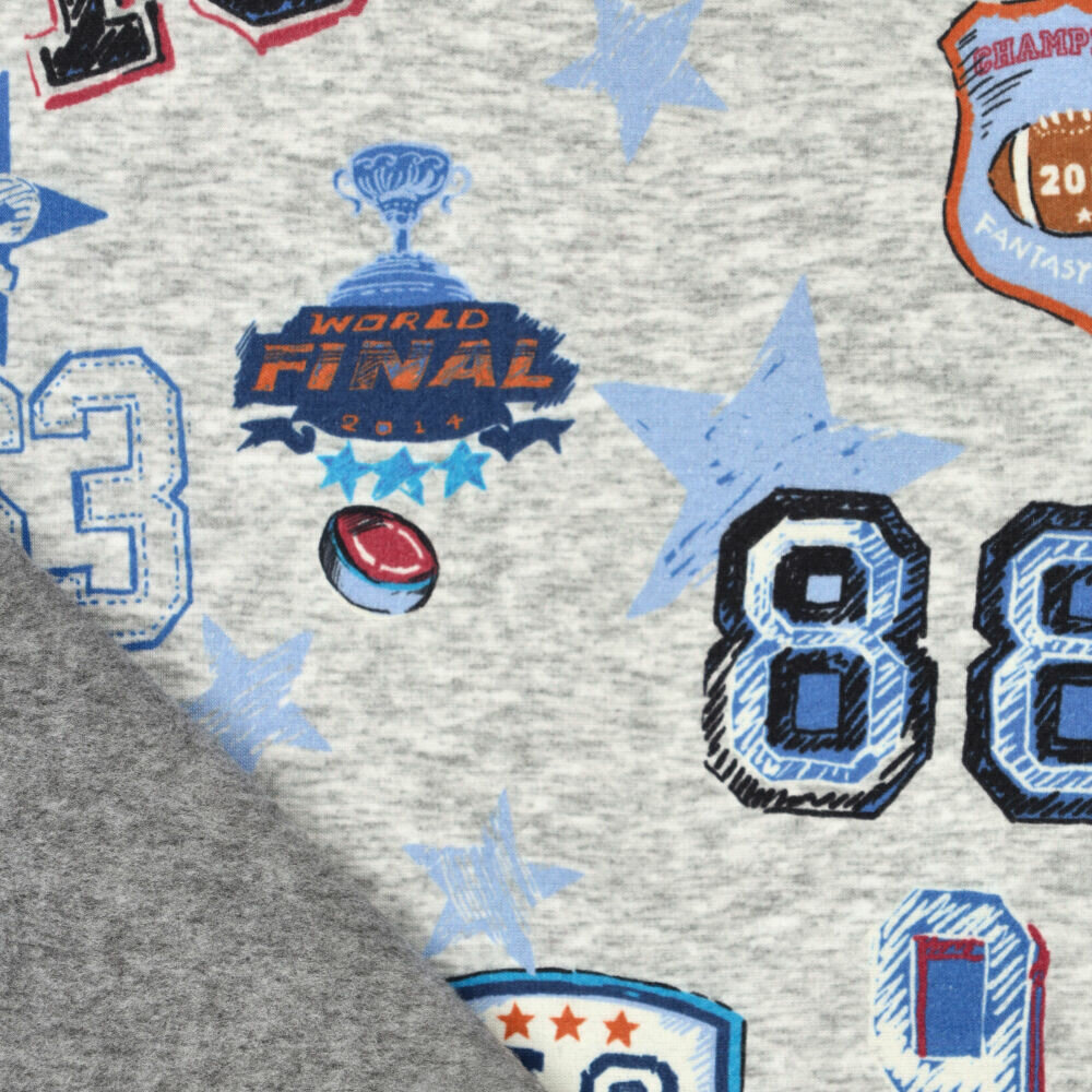 Alpenfleece bedruckt champions football grau