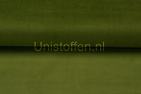 Feincord Stretch,hellgras