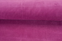 Breitcord Jersey cyclaam