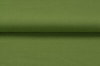 Canvas Uni grün