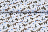 Lizenz Baumwoll Popeline Bedruckt Jurrassic World weiss
