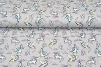 French Terry bedruckt flying dragon helles taupe