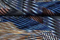 Baumwolljersey bedruckt wild color blau-schwarz