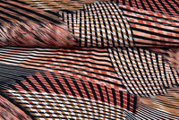 Baumwolljersey bedruckt wild color rot-schwarz