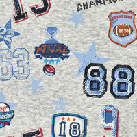 Alpenfleece bedruckt champions football grau