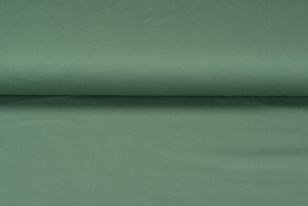 French Terry pastell dunkelmint 1