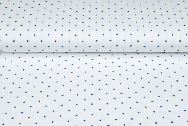 Baumwolljersey bedruckt stars ecru - metalblau