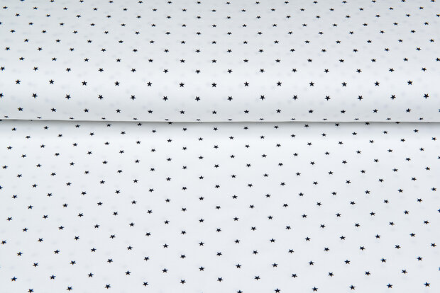 Baumwolljersey bedruckt stars ecru - dunkelblau