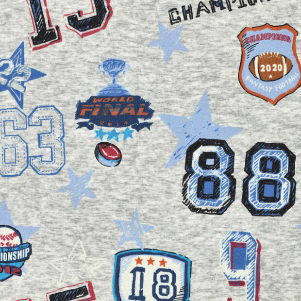 Alpenfleece bedruckt champions football grau