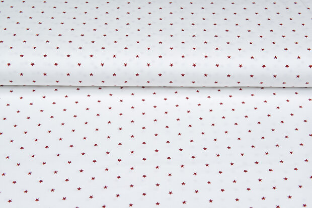 Baumwolljersey bedruckt stars ecru - rot