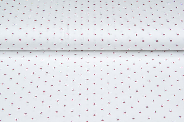Baumwolljersey bedruckt stars ecru - altrosa