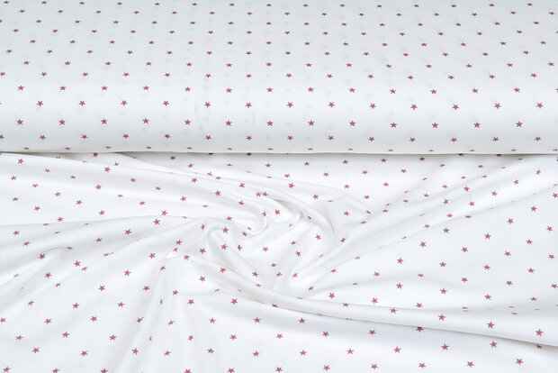 Baumwolljersey bedruckt stars ecru - altrosa