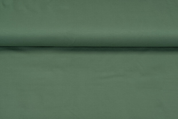 Baumwolljersey uni dunkelmint 1