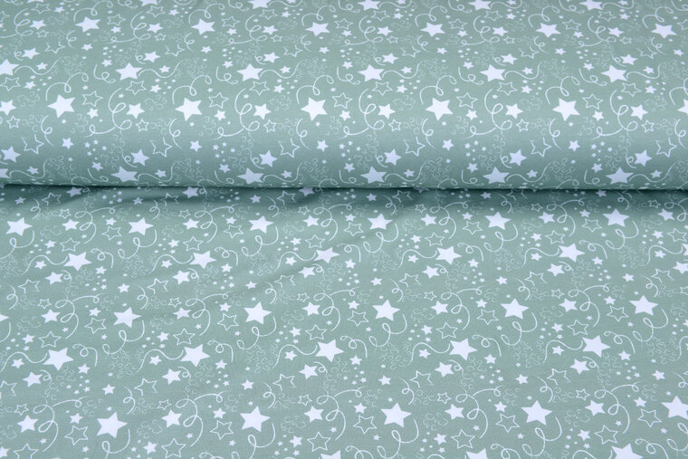 Baumwolljersey bedruckt stars mint