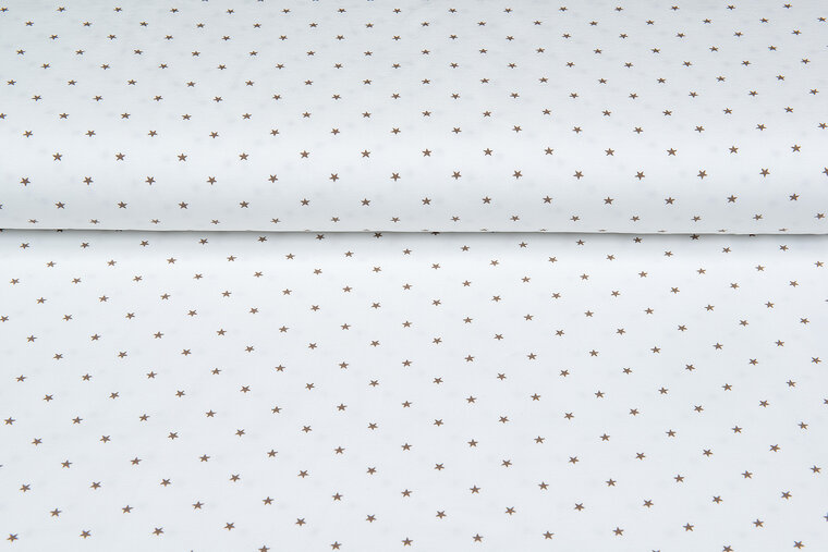 Baumwolljersey bedruckt stars ecru - sand