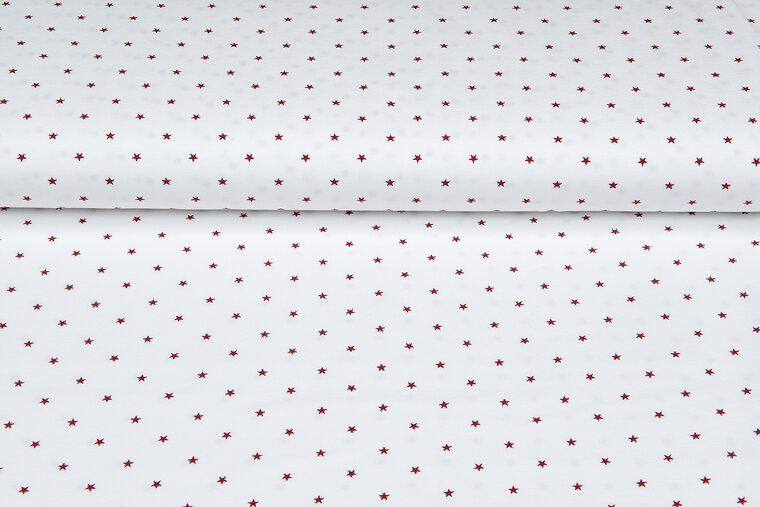 Baumwolljersey bedruckt stars ecru - rot