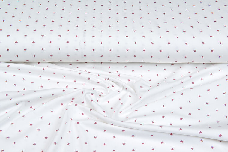 Baumwolljersey bedruckt stars ecru - altrosa