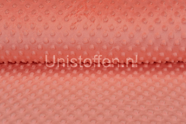 Minky Fleece lachs