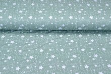 Baumwolljersey bedruckt stars mint