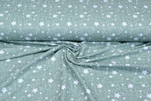 Baumwolljersey bedruckt stars mint