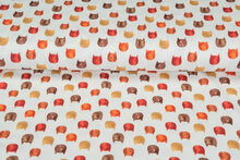 Baumwolljersey bedruckt digital multicolor cat