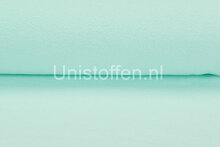 Baumwolle Fleece mint