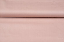 Canvas Uni altrosa