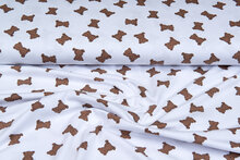 Baumwolljersey bedruckt mini bears weiss