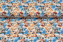 Baumwolljersey digital bedruckt colorful teddy bears
