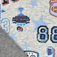 Alpenfleece bedruckt champions football grau