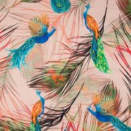 Baumwolljersey bedruckt peacock multicolor
