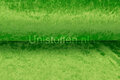 Pannesamt,leuchtend grün