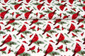 Baumwoll Popeline Bedruckt Weihnachten christmas bird ecru